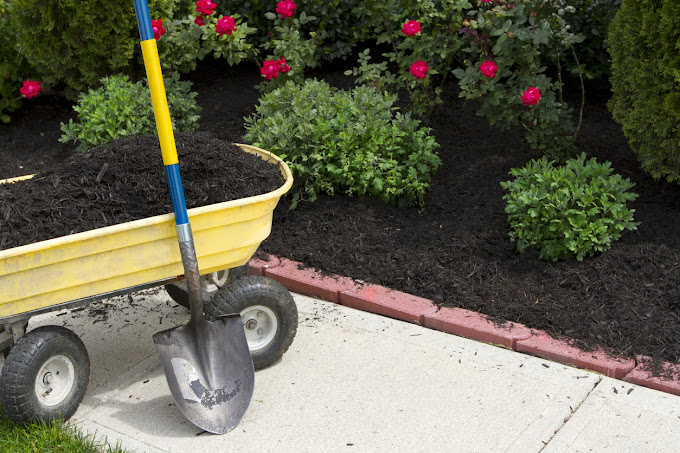 Yardscapes photo 1