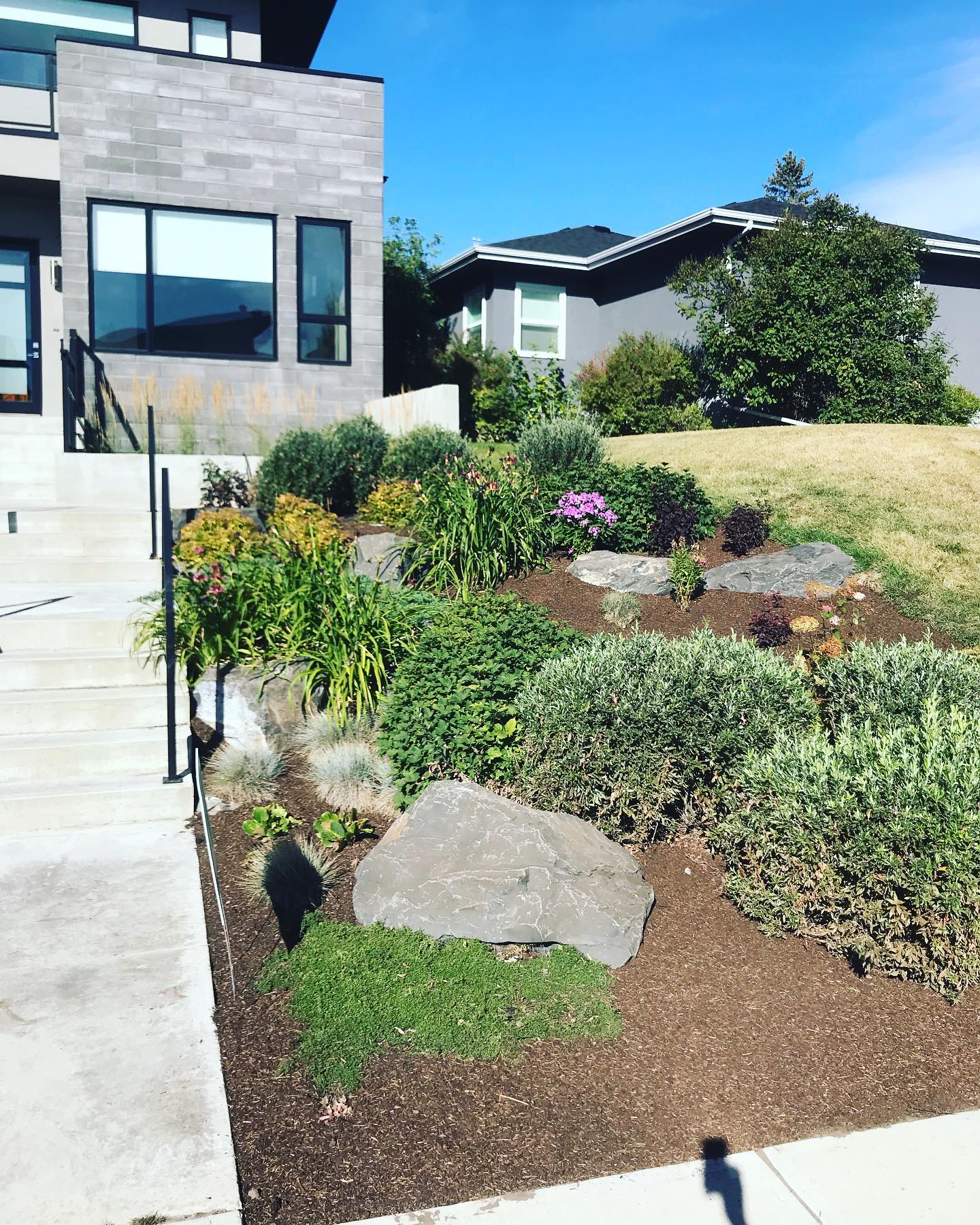 Yardscapes photo 4