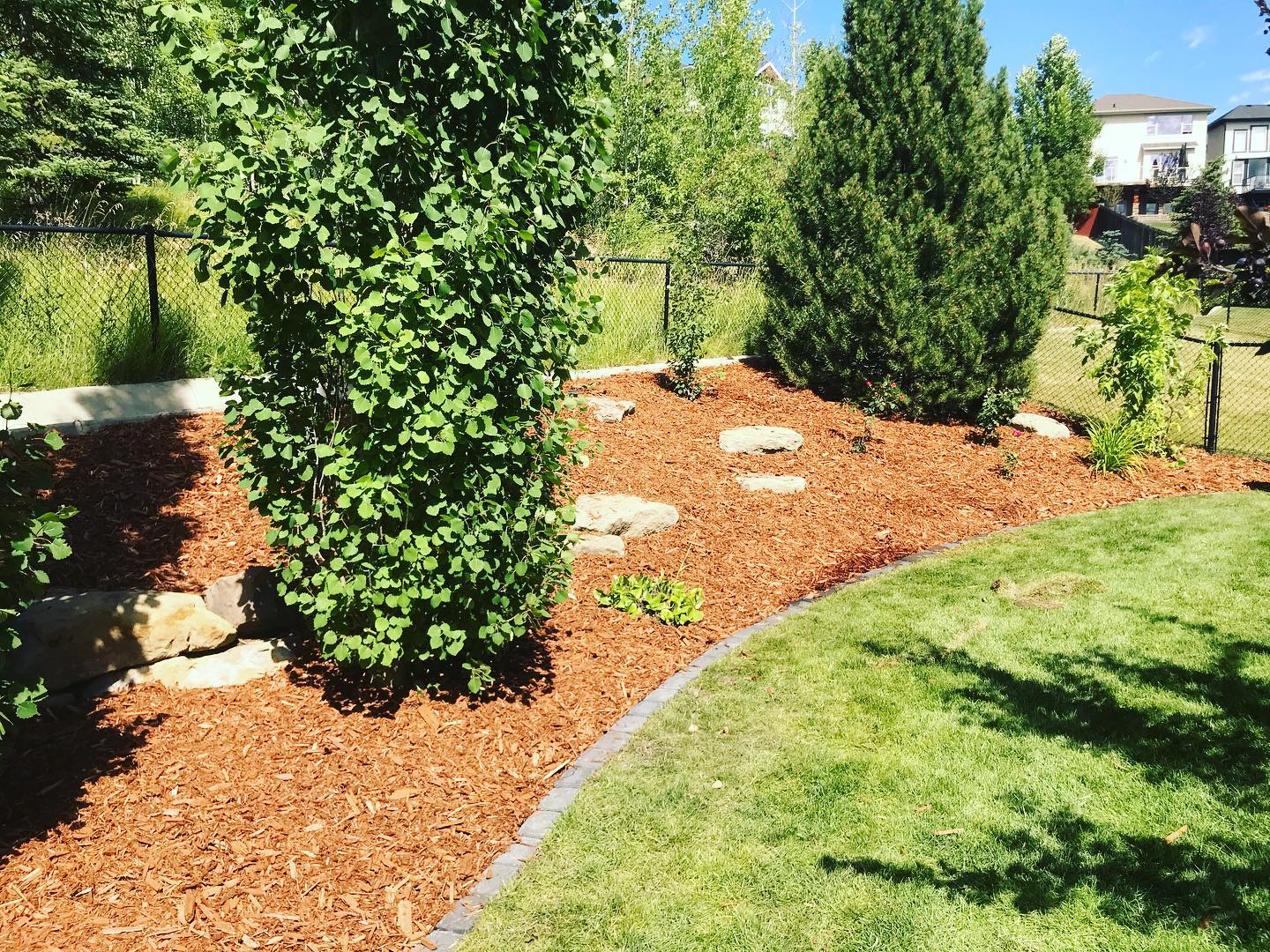 Fall cleanup